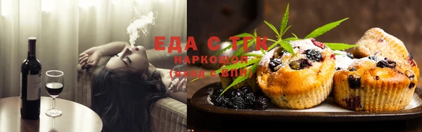 индика Алексин