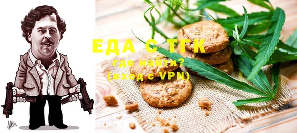 индика Алексин