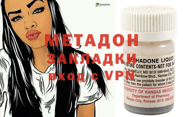 индика Алексин