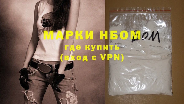 индика Алексин