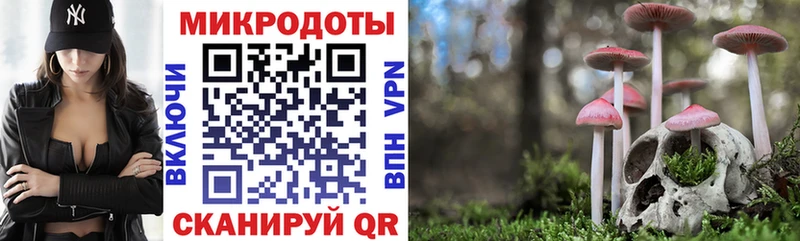 Псилоцибиновые грибы Psilocybe  купить  цена  Дмитров 