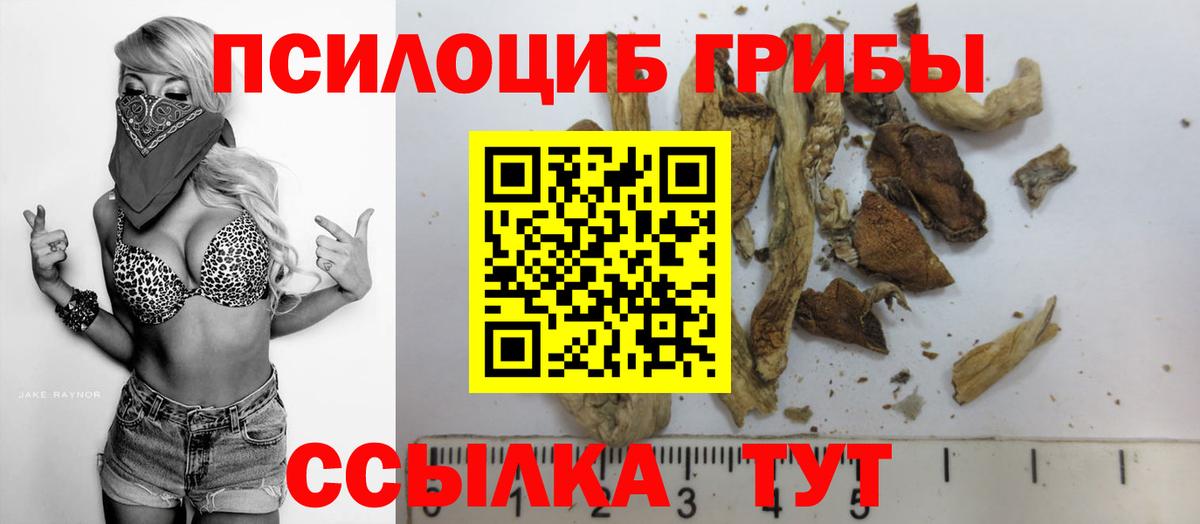 Дмитров  Псилоцибиновые грибы Psilocybine cubensis  Галлюциногенные грибы Magic Shrooms  Вход с VPN 